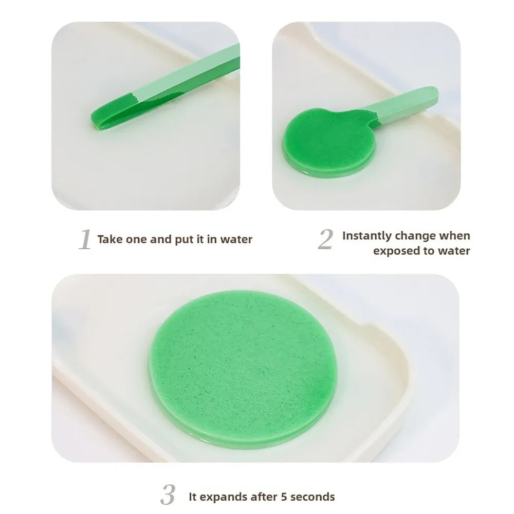 Facial Cleansing Stick Sponges (Pack of 24)